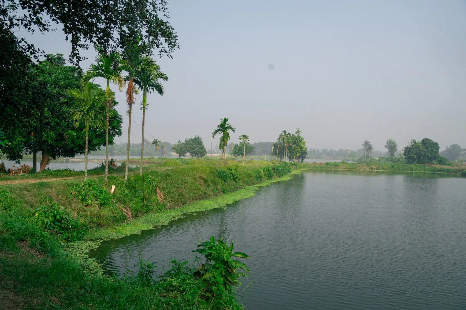 Jolashoy Lakeside Agro Farming and Fisheries