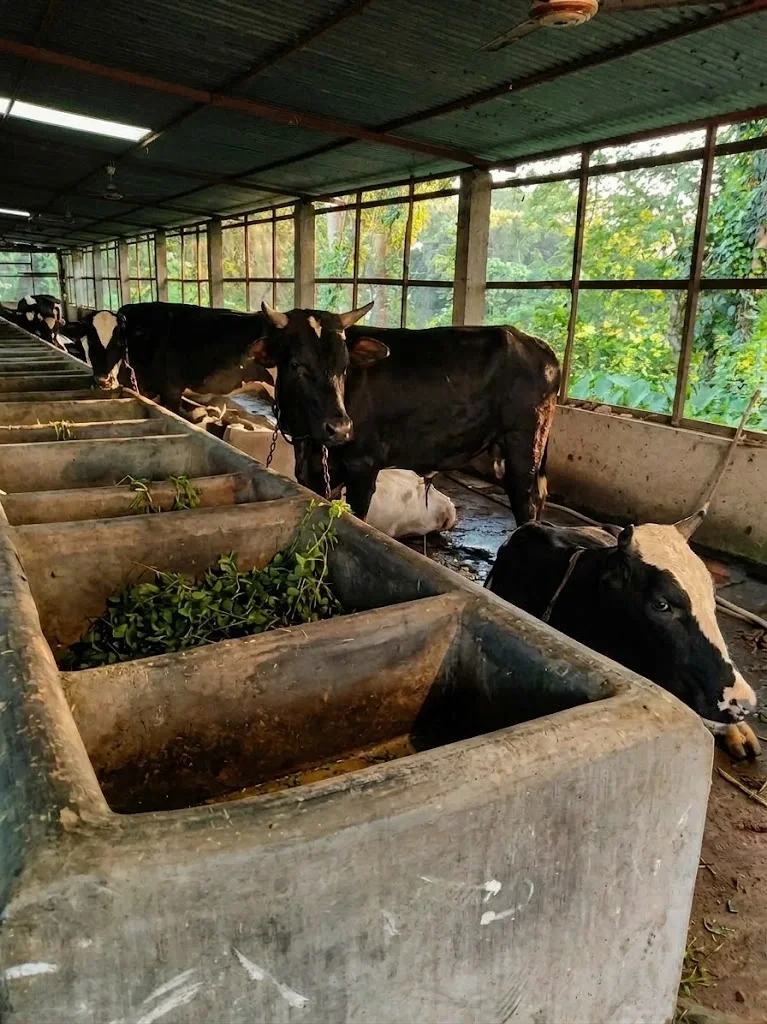 Spark Farms Sustainable Agriculture