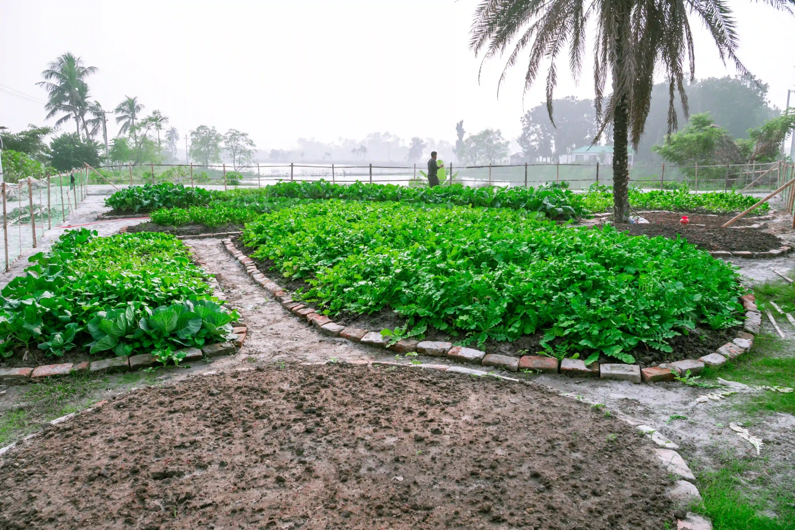 Spark Farms Modern Aquaculture